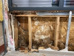 La mauvaise étanchéité de la liaison menuiserie/mur ossature bois a entraîné une accumulation d’humidité à l’intérieur du mur, la dégradation des bois et l’apparition de mérule.
