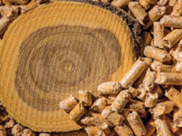 La stratégie nationale de mobilisation de la biomasse rendue publique