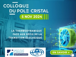 pole cristal