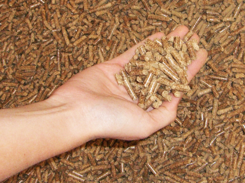 2018 est l’année du décollage de la filière bois à granulés, déclare Eric Vial, délégué général de l’association nationale du chauffage au granulé de bois Propellet.