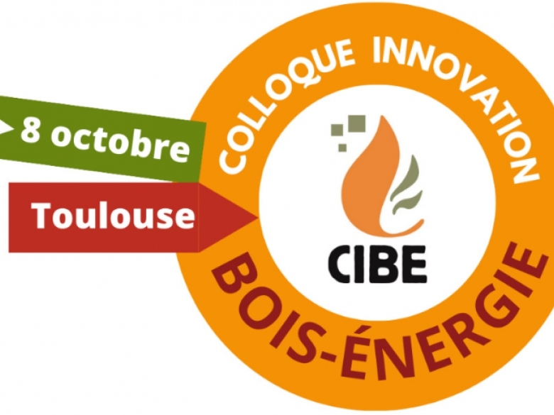 Colloque CIBE