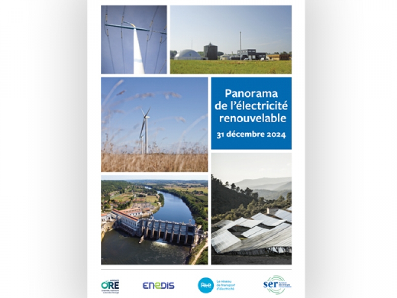 Panorama EnR électriques
