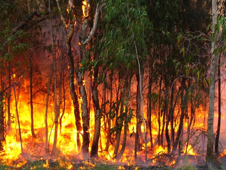 Incendie
